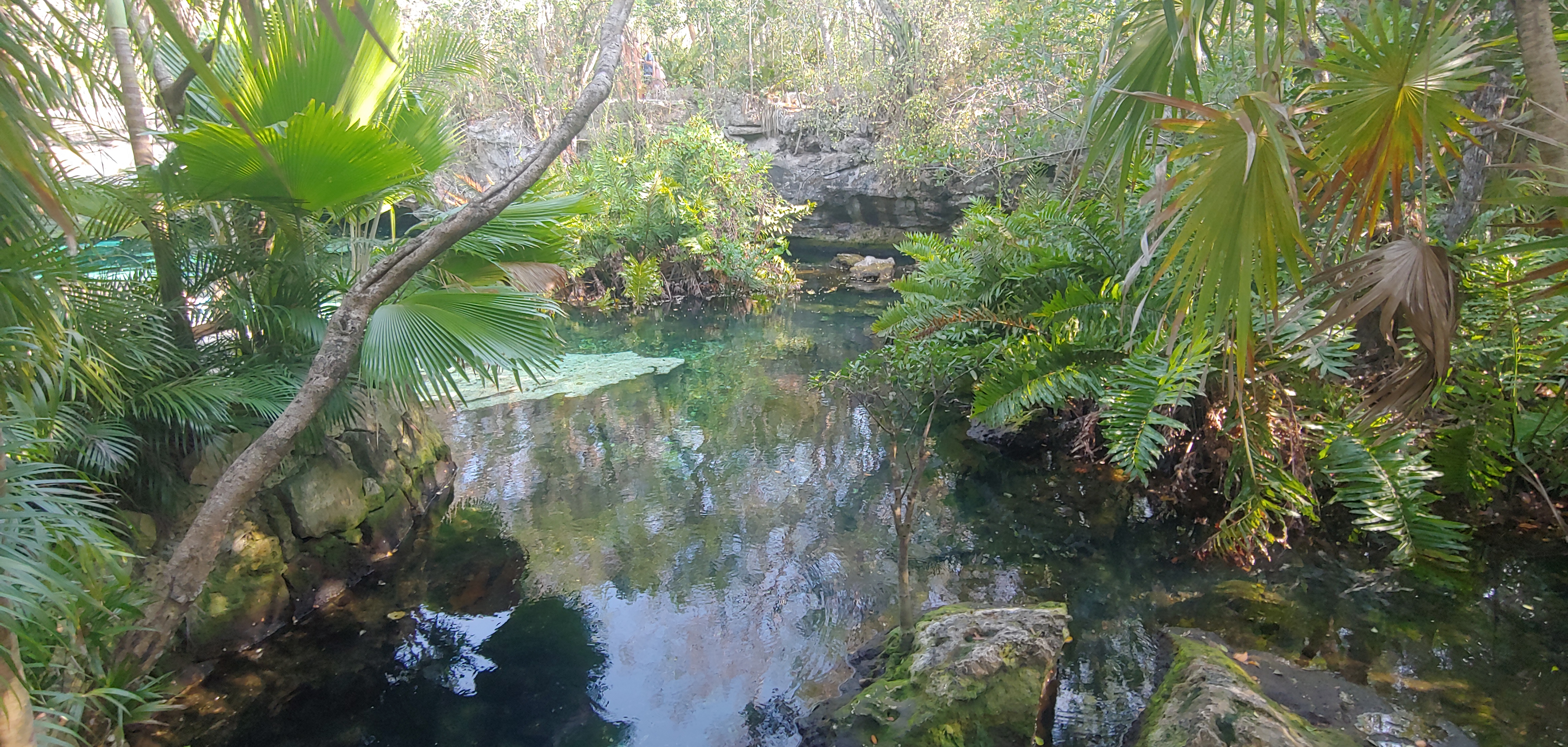 Cenote in Riviera Maya